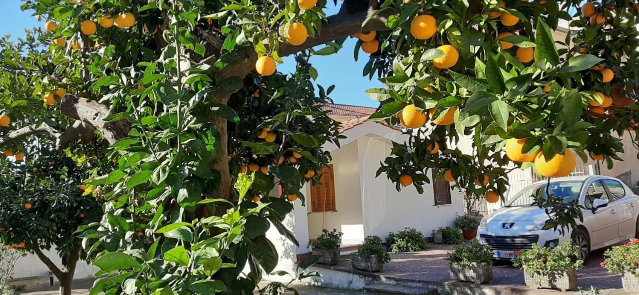 Appartement Casa Delle Rose, Pompei E Amalfi Coast à Corbara  Extérieur photo